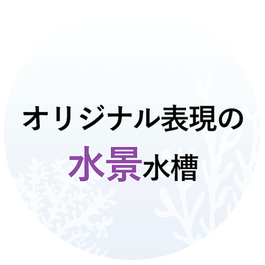 オリジナル表現の水景水槽