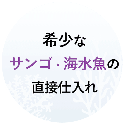 希少なサンゴ・海水魚の直接仕入れ