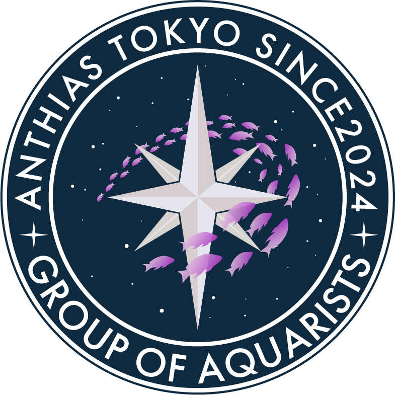 Anthiasのロゴマーク
