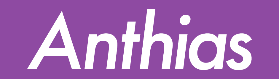 Anthias