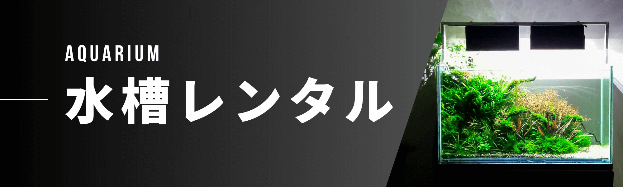 水槽レンタルのバナー