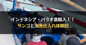 インドネシア直輸入のサンゴと海水魚の仕入れ体験記