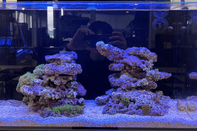 佐藤石油様に設置したサンゴ