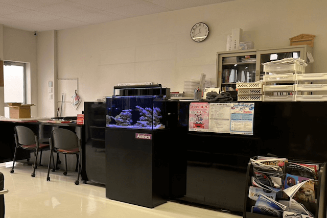 エントランスに設置したアクアリウム