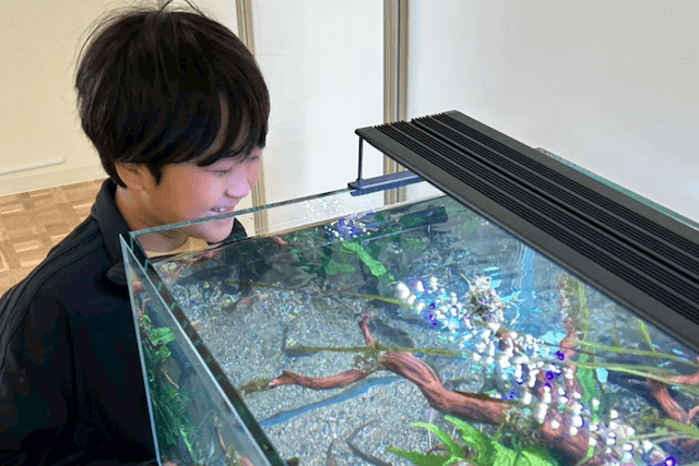 水槽を見て喜ぶ子供