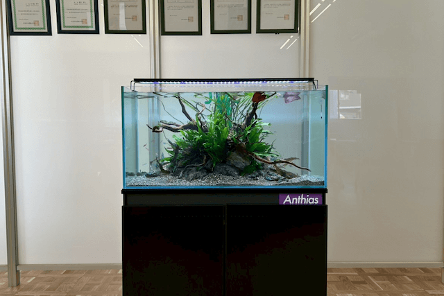 新潟ガラスリサイクルセンター株式会社様に設置した水槽