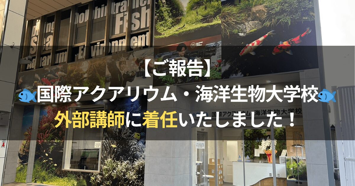 新潟県の国際アクアリウム海洋生物大学校にて外部講師に就任いたしました