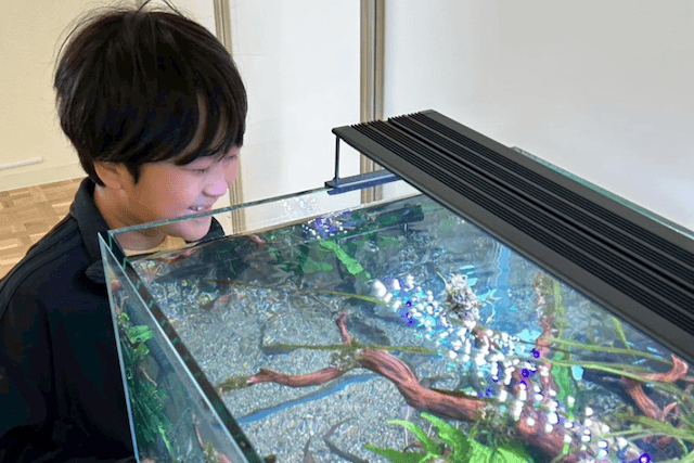 水槽を眺める社長の息子